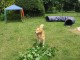 Thumbs/tn_Bild 069.jpg